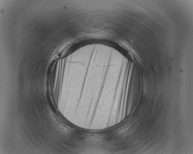 X0000081430486200702021656