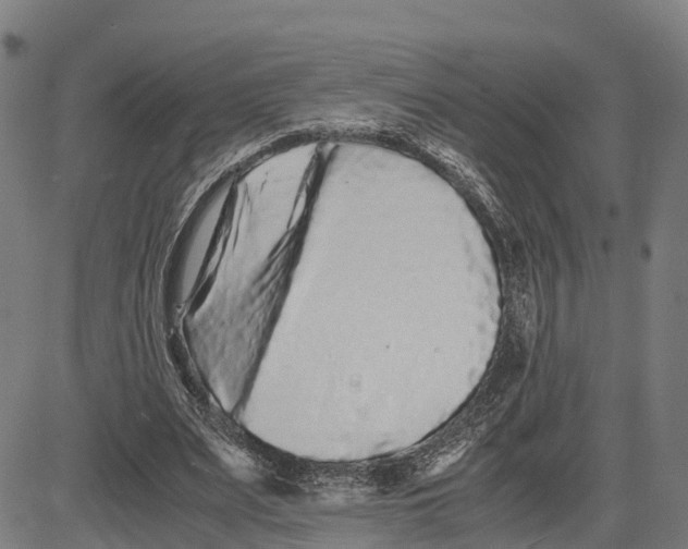 X0000081430487200702021656