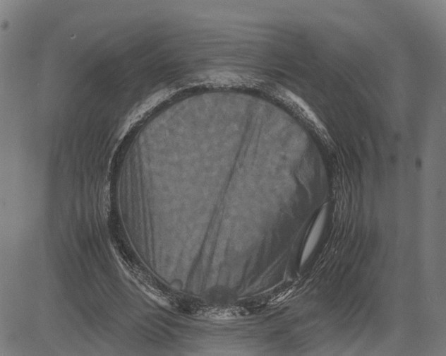 X0000081430488200702021656