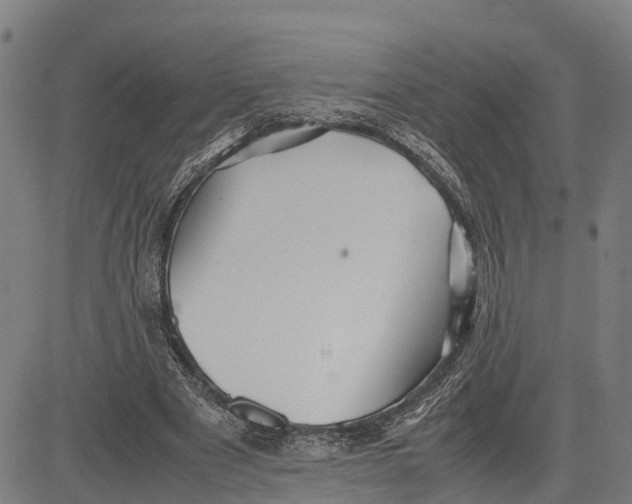 X0000081430489200702021656