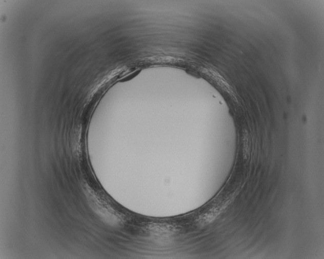 X0000081430490200702021656