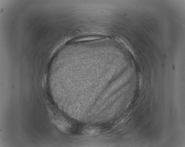 X0000081430491200702021656