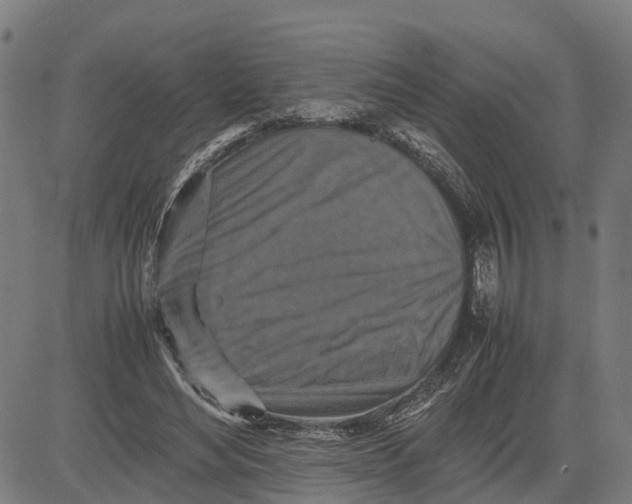 X0000081430492200702021656