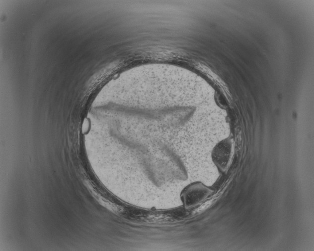 X0000081430493200702021656