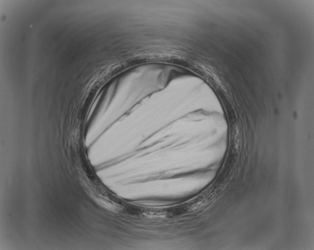 X0000081430495200702021656