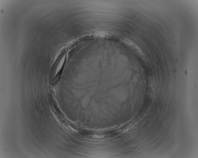 X0000081430496200702021656