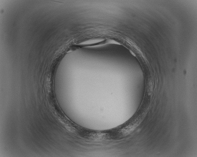 X0000081430497200702021656