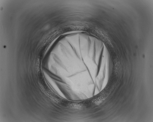 X0000081430498200702021656