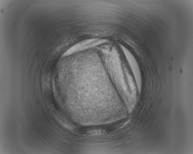 X0000081430499200702021656