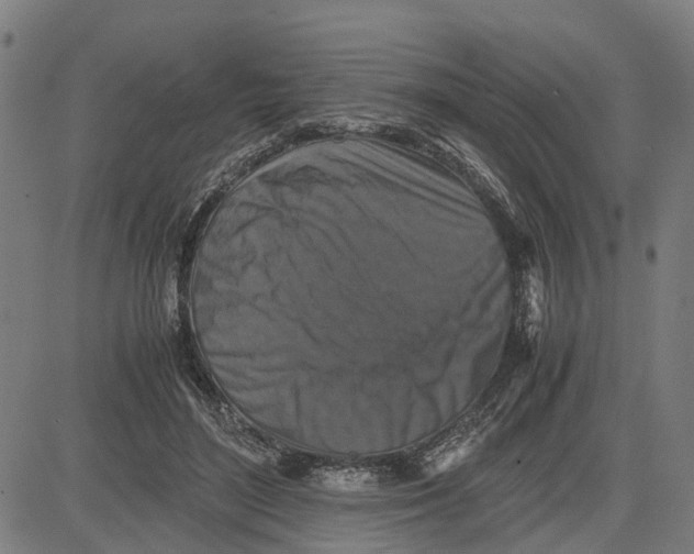 X0000081430500200702021656