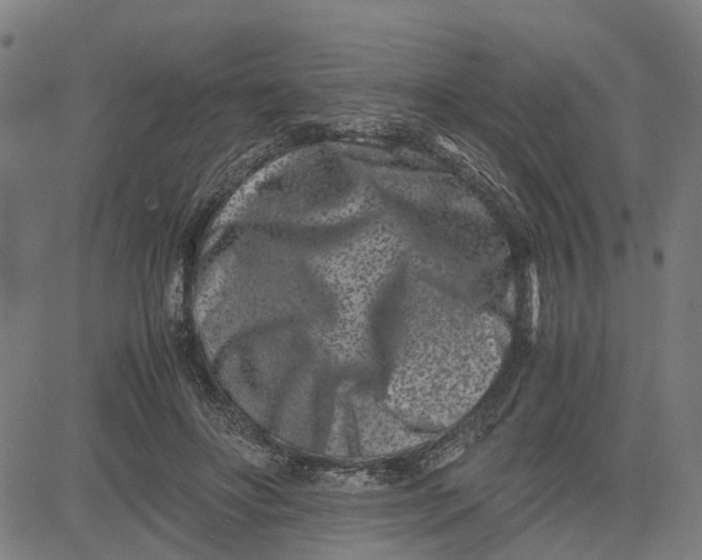 X0000081430502200702021656