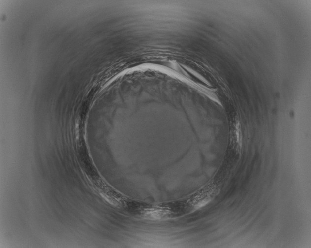 X0000081430504200702021656