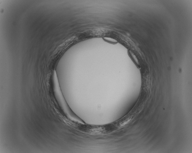 X0000081430505200702021656