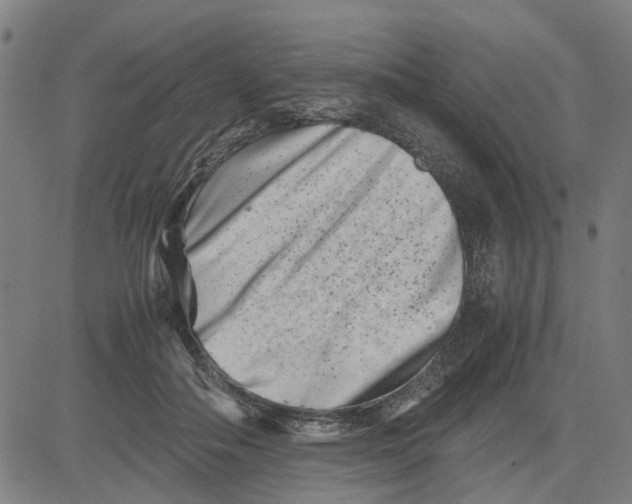 X0000081430506200702021656