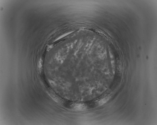 X0000081430507200702021656