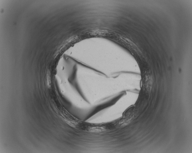 X0000081430508200702021656