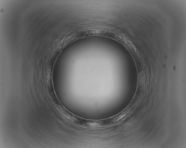 X0000081430509200702021656