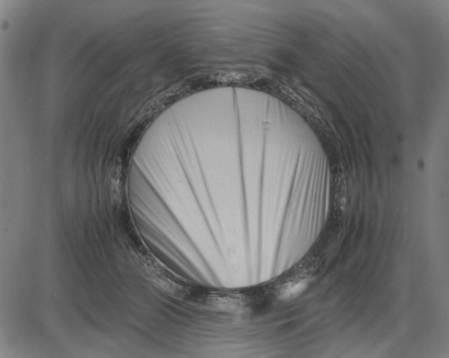 X0000081430510200702021656