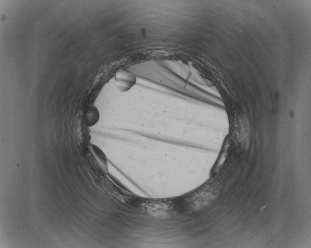 X0000081430512200702021656