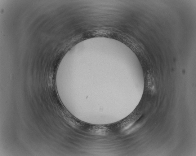 X0000081430514200702021656