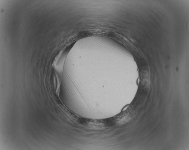 X0000081430515200702021656