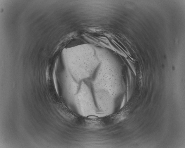 X0000081430516200702021656