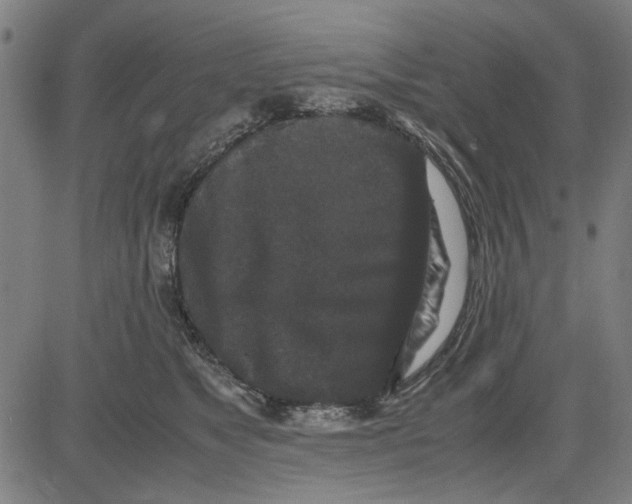 X0000081430517200702021655