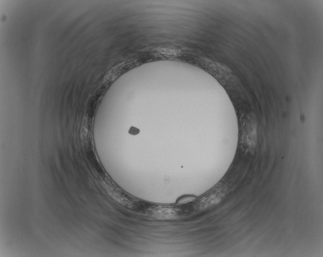 X0000081430518200702021655