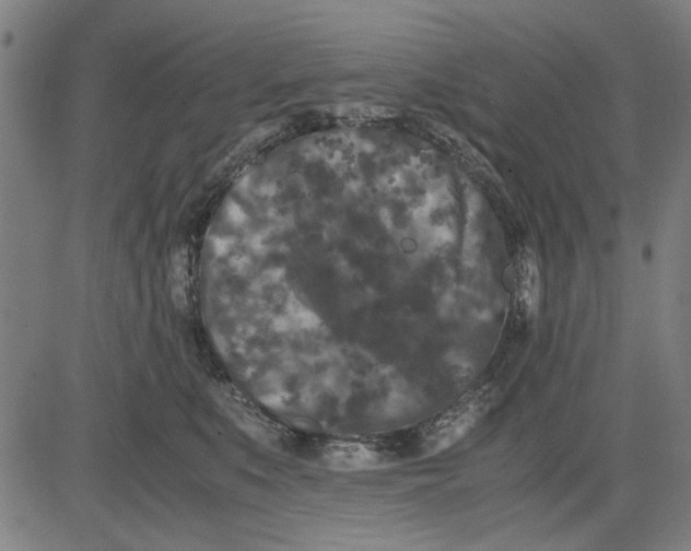 X0000081430519200702021655