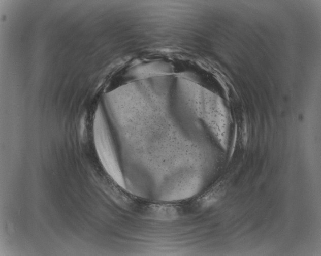 X0000081430520200702021655