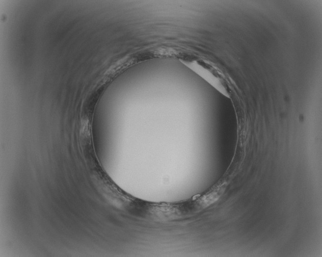 X0000081430521200702021655