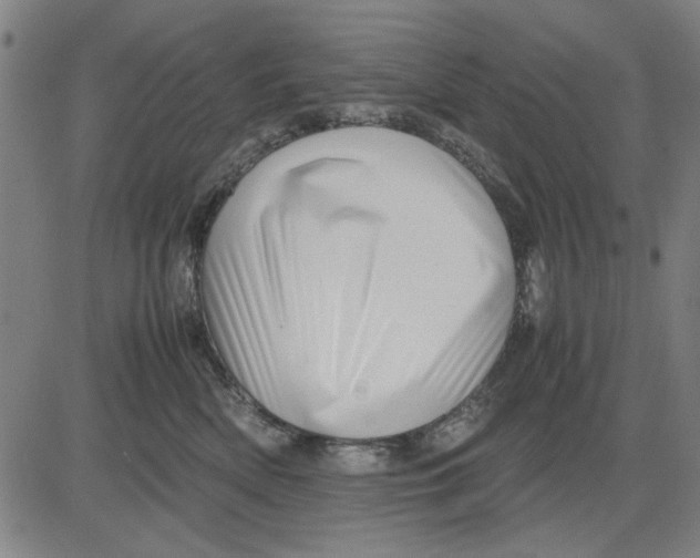 X0000081430522200702021655