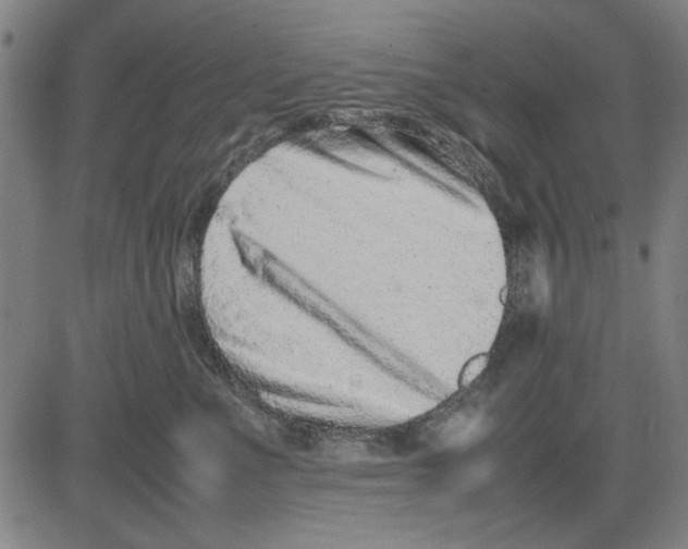 X0000081430523200702021655