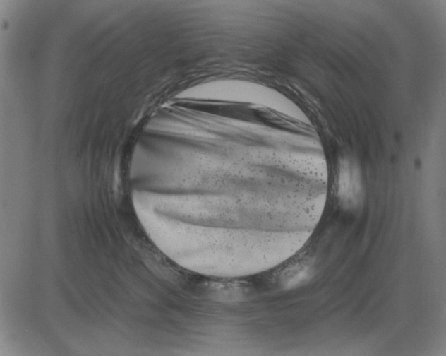 X0000081430524200702021655