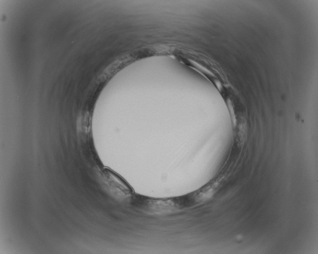 X0000081430525200702021655