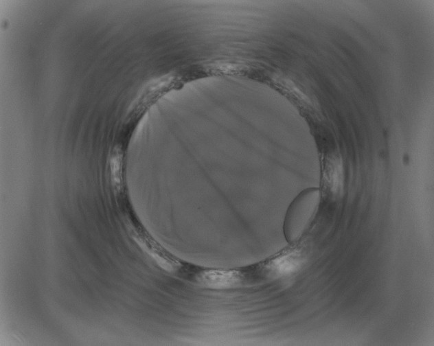 X0000081430526200702021655