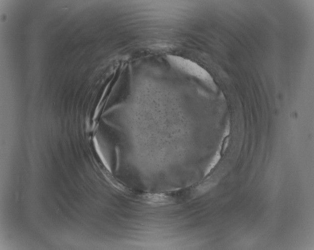 X0000081430528200702021655