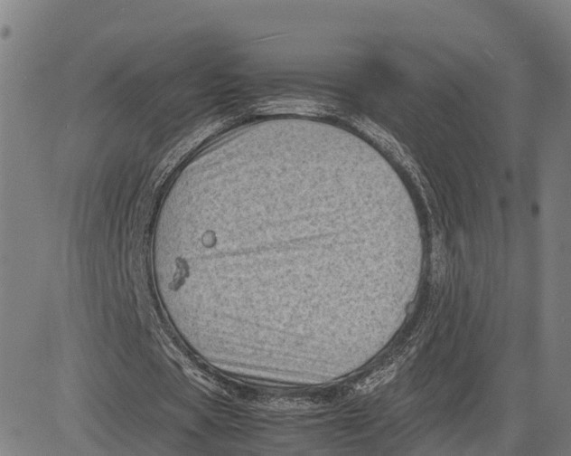 X0000081430529200702021655