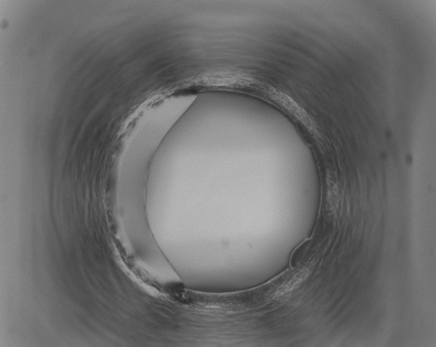 X0000081430530200702021655