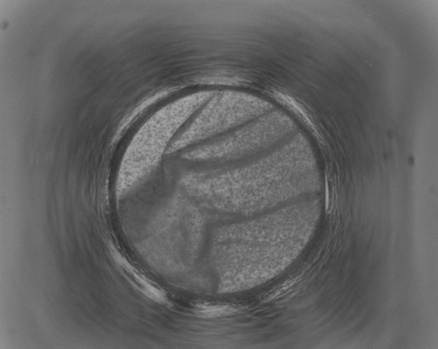 X0000081430531200702021655