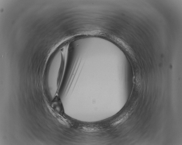 X0000081430532200702021655