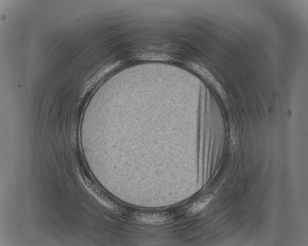 X0000081430533200702021655