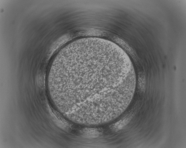 X0000081430534200702021655