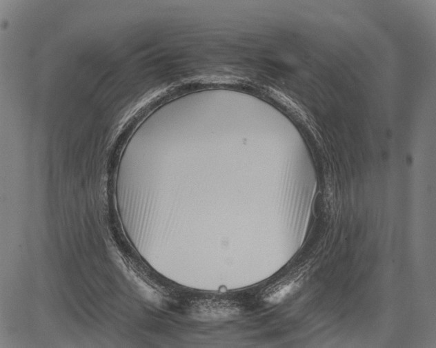 X0000081430535200702021655