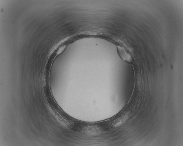 X0000081430536200702021655