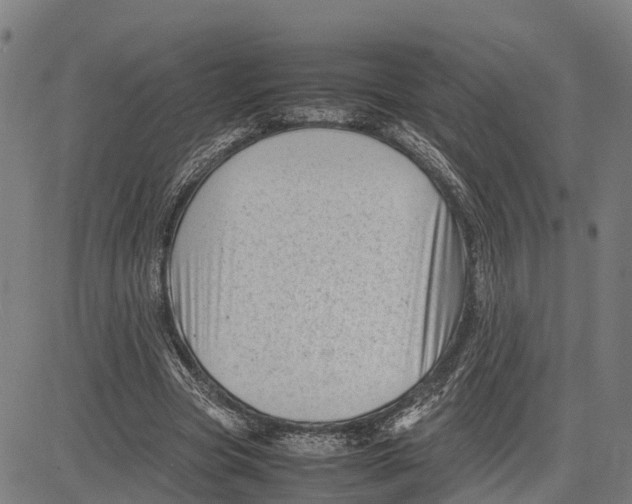 X0000081430537200702021655