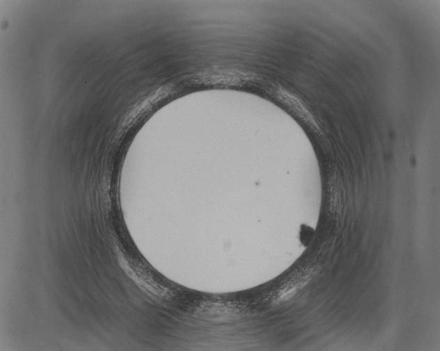 X0000081430538200702021655