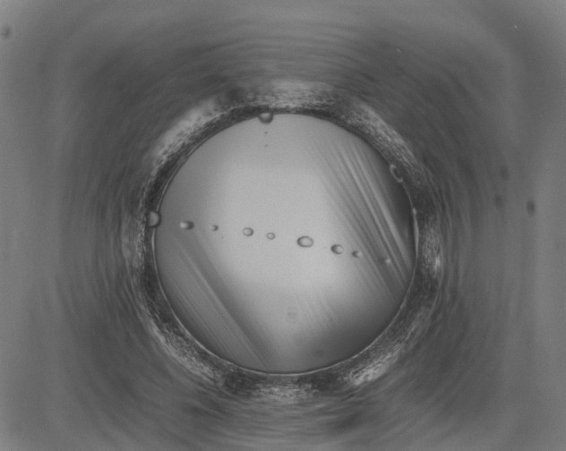 X0000081430540200702021655