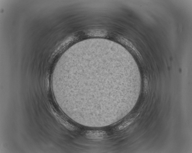 X0000081430541200702021655