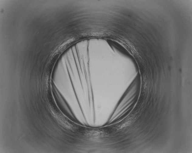 X0000081430542200702021655